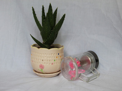 【尚魔斯廠供各高中檔雙層玻璃杯口杯 辦公杯 水晶杯 普通杯子批發(fā)】價(jià)格,廠家,圖片,杯子,永康市尚魔斯五金制品廠-